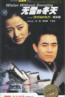 无雪的冬天海报