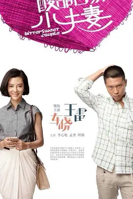 酸甜苦辣小夫妻海报