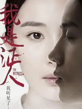 我是证人海报