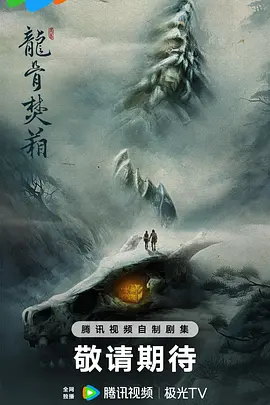 龙骨焚箱海报