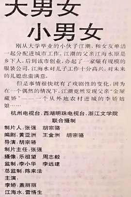 大男女小男女海报