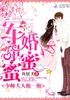 宠婚甜蜜蜜：老公大人，抱一抱封面