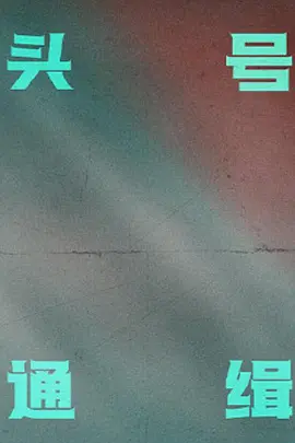 头号通缉海报