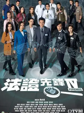 法证先锋4海报