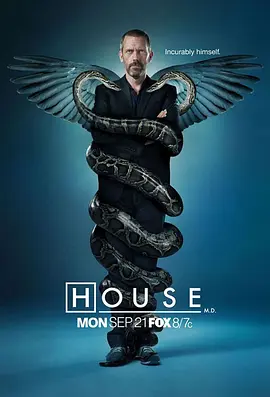 豪斯医生 第六季 House M.D. Season 6海报