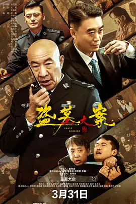 盗墓大案海报
