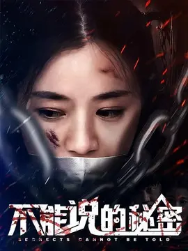 不能说的秘密海报