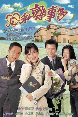 公私恋事多海报
