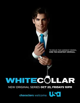 妙警贼探 第一季 White Collar Season 1海报