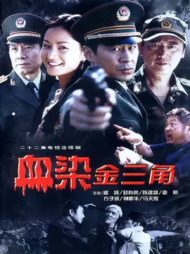 铁血豪情海报
