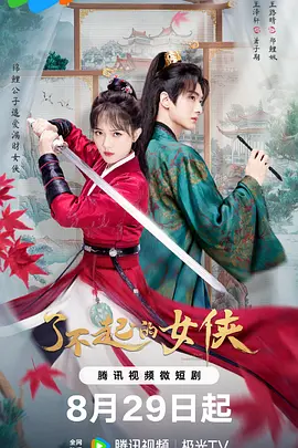 了不起的女侠海报