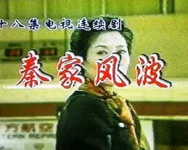 秦家风波海报