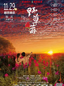 野草莓海报