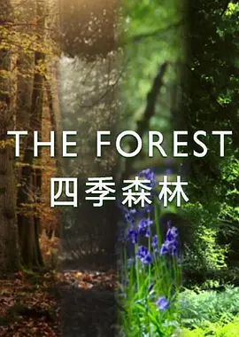 四季森林 第一季海报