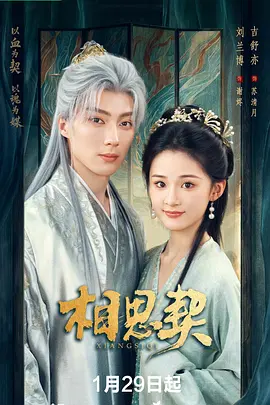 相思契海报