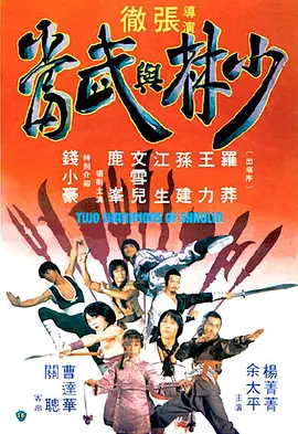 少林与武当海报