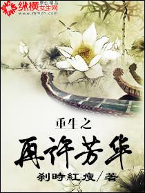 重生之再许芳华封面