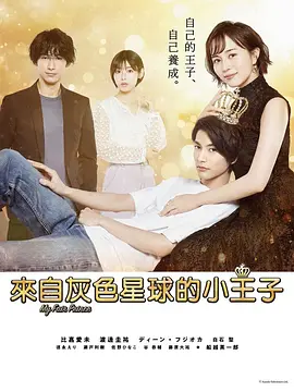 来自灰色星球的小王子海报