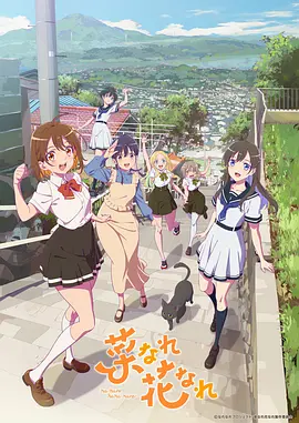 亦叶亦花海报