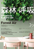 森林呼吸：打造舒缓压力和焦虑的家中小森林封面