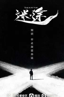 迷途海报