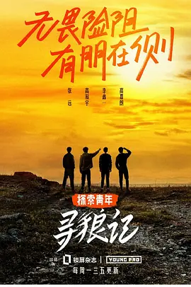 寻狼记海报