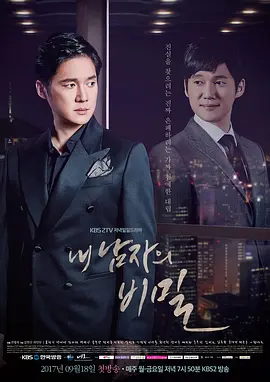 我男人的秘密海报