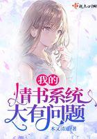 我的情书系统大有问题封面