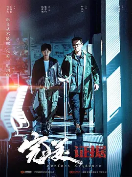 完美证据海报