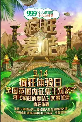 疯狂的麦咭 第一季海报